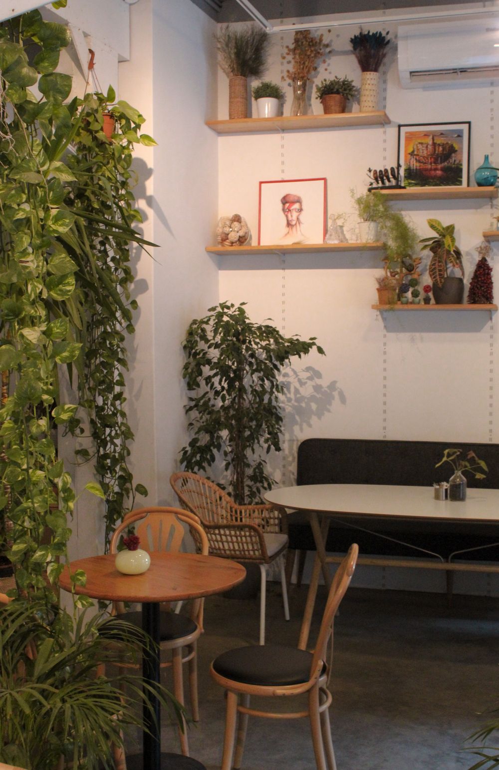 植物に囲まれた明るい席