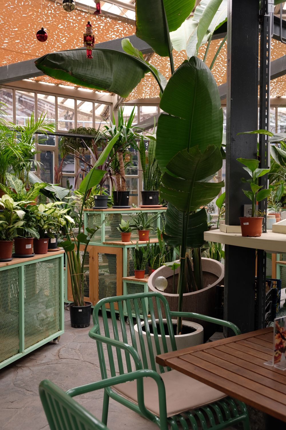 植物でいっぱいの温室のような店内