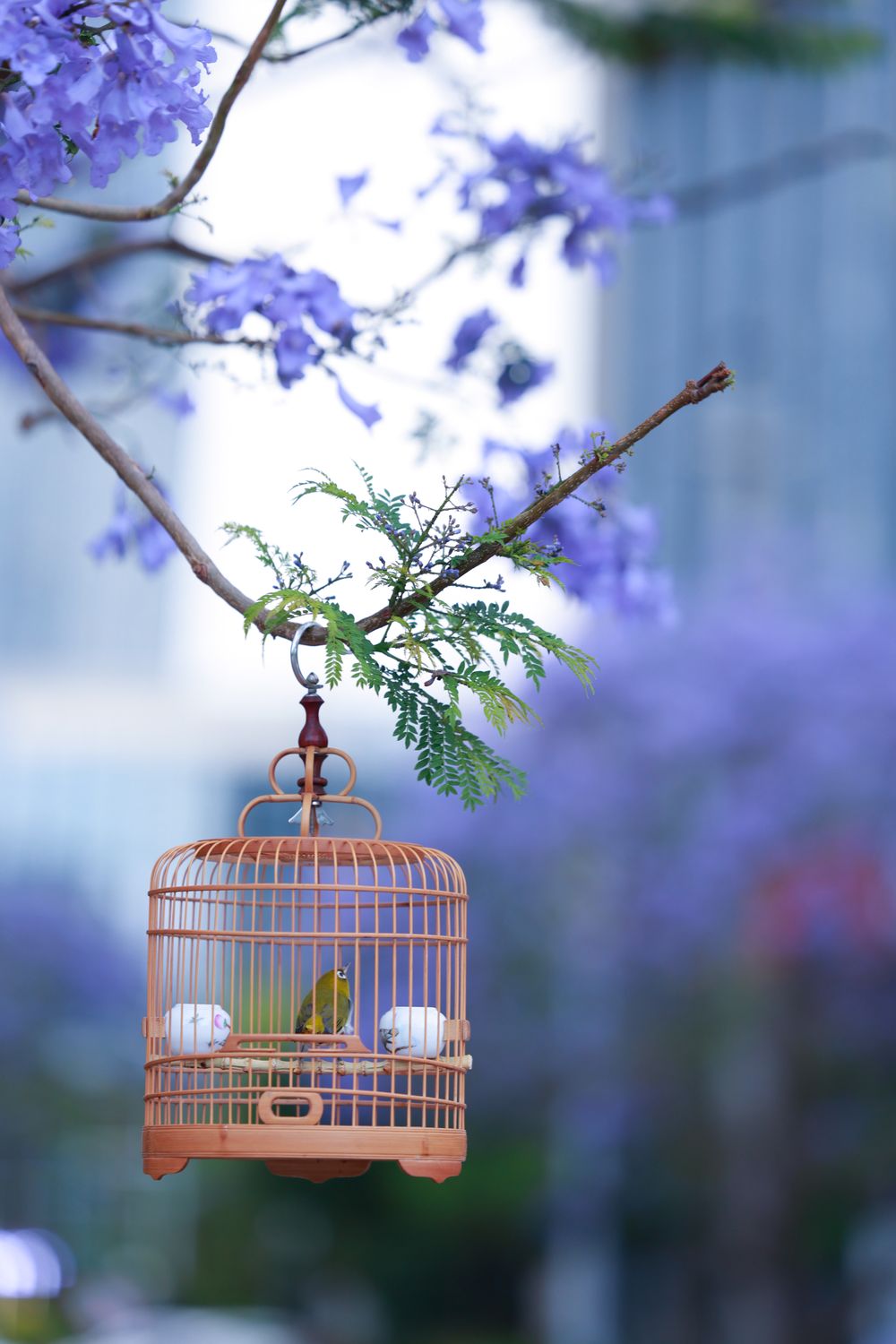 草花と吊り鳥籠